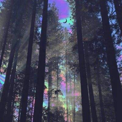 完美365体育ios下载截图